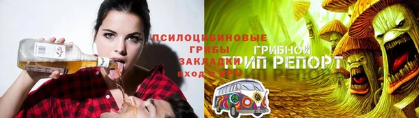 тгк Алзамай