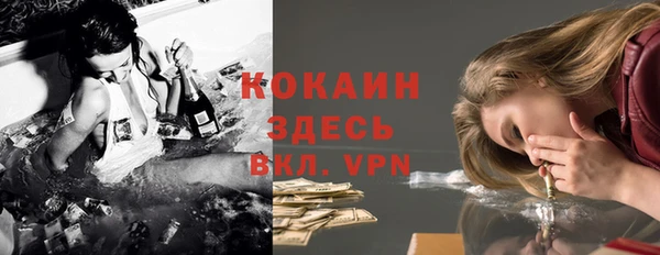 винт Алексин