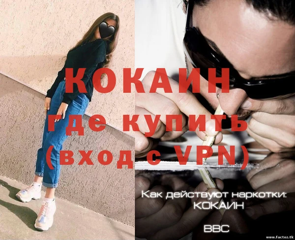 тгк Алзамай