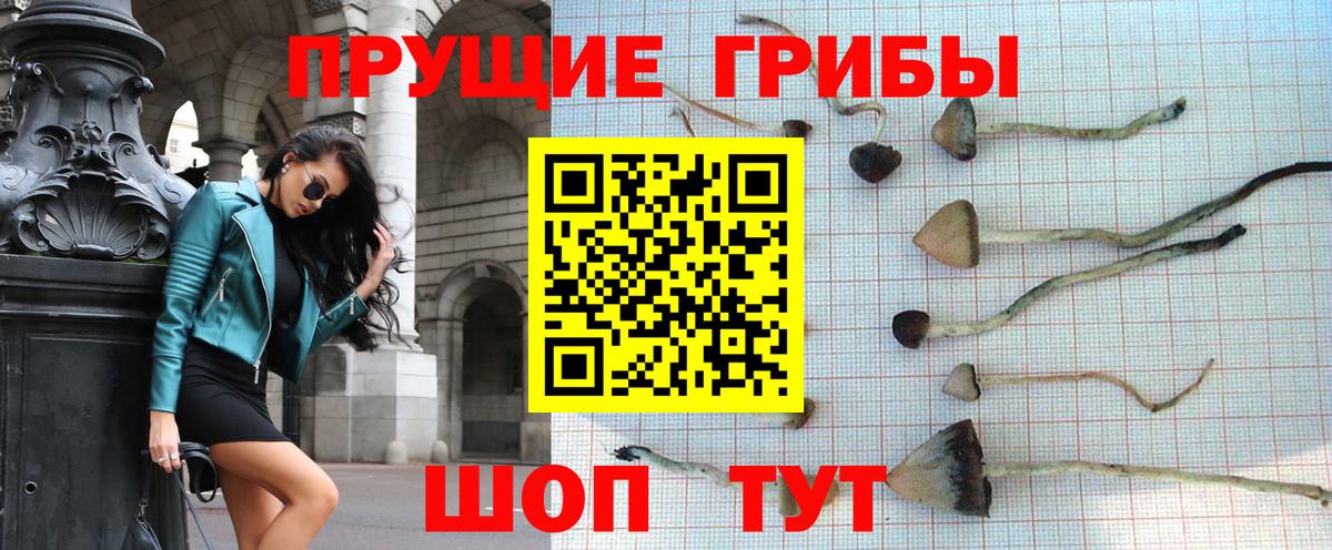 Галлюциногенные грибы прущие грибы Котельники