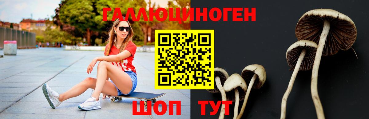 Галлюциногенные грибы ЛСД  Вход с VPN  Котельники  купить  цена  Галлюциногенные грибы GOLDEN TEACHER 
